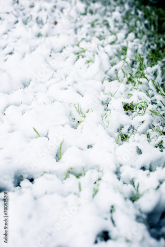 First snow on green grass