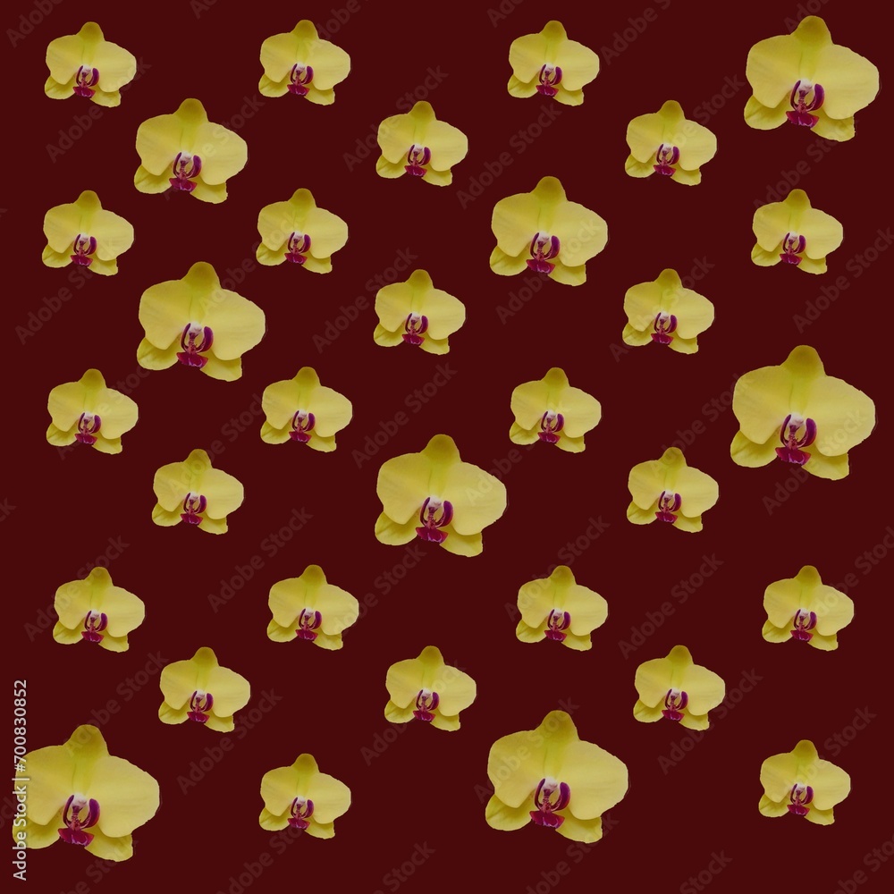 seamless pattern with orchids seamless pattern with orchids