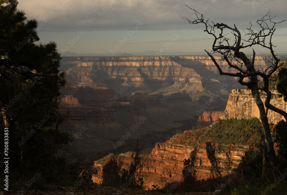 Evening Light Causes Shadows And Shows The Details Of The Canyon
