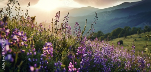 A serene alpine meadow at dusk, neon meadow purple veins in the wildflowers and grass, offering a peaceful monochromatic meadow purple highland view, distant peaks softly blurred