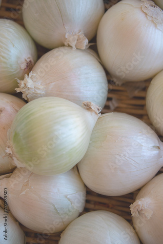 White onions in vegetable basket at farmers market in New Mexico United States