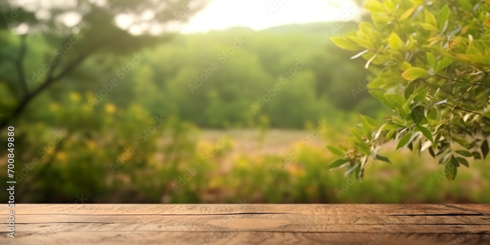 Wooden table with nature background in spring