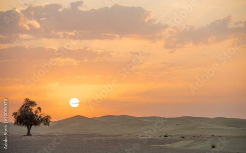 desert in the emirates for background photo