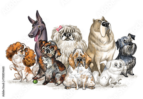 Cute character sitting funny cartoon different dogs isolated illustration
