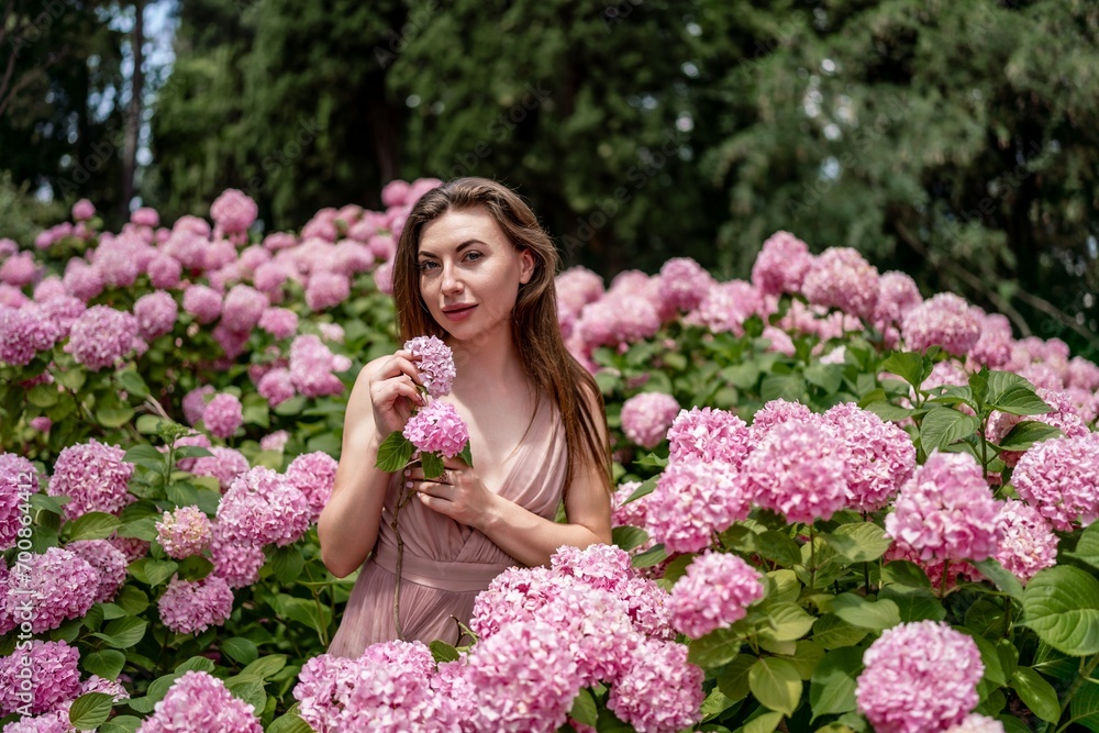 Hydrangeas Happy woman in pink dress amid hydrangeas. Large pink hydrangea caps surround woman. Sunny outdoor setting. Showcasing happy woman amid hydrangea bloom. Hydrangeas Happy woman in pink dress amid hydrangeas. Large pink hydrangea caps surround woman. Sunny outdoor setting. Showcasing happy woman amid hydrangea bloom.