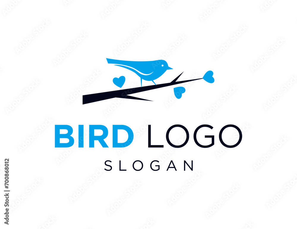 The logo design is about Bird and was created using the Corel Draw 2018 application with a white background.