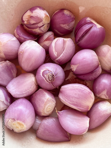 close up group of onion for cooking
