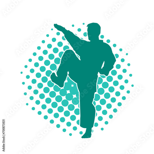 Silhouette of a man in oriental martial art pose. Silhouette of a male in martial art move.