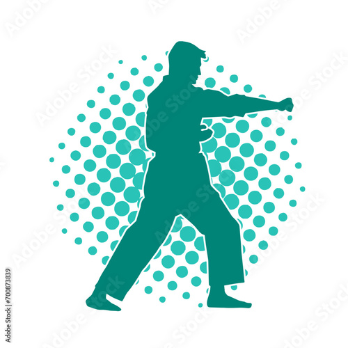 Silhouette of a man in oriental martial art pose. Silhouette of a male in martial art move.