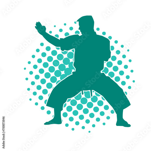 Silhouette of a man in oriental martial art pose. Silhouette of a male in martial art move.