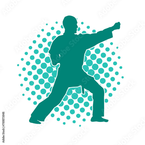 Silhouette of a man in oriental martial art pose. Silhouette of a male in martial art move.