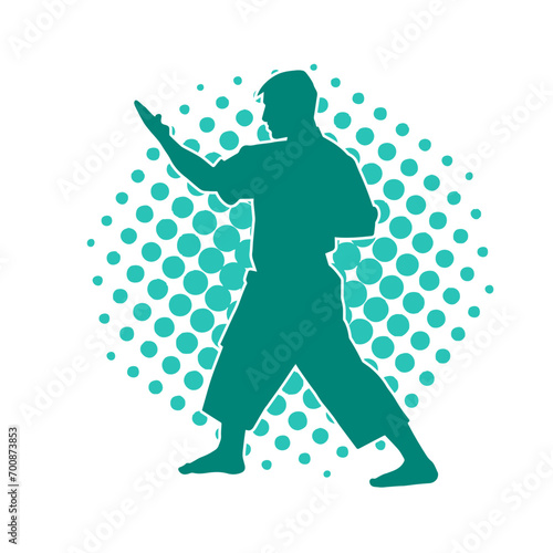 Silhouette of a man in oriental martial art pose. Silhouette of a male in martial art move.