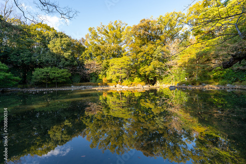 京都 平安神宮の風景