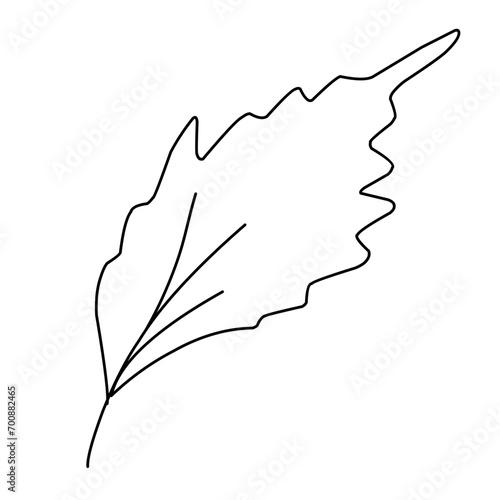 Bunga poppy. Sketsa dalam garis, gambar tangan bebas. Ilustrasi vektor, latar belakang musim panas, padang rumput bunga. photo