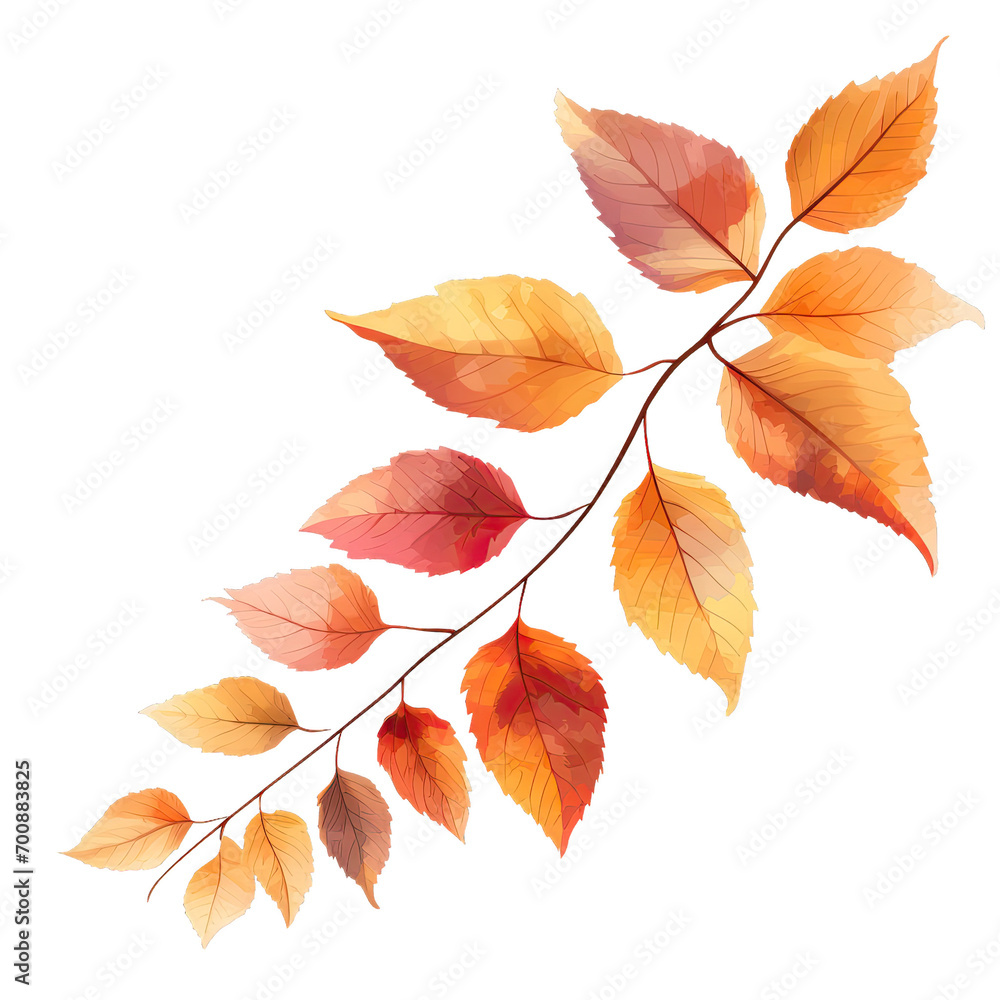 Autumn leaves on a branch isolated on transparent or white background