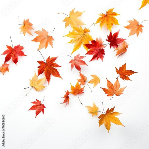 Autumn leaves on transparent background