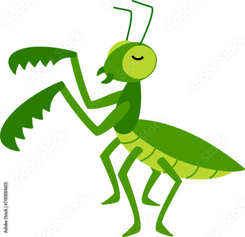 cute praying mantis cartoon animal