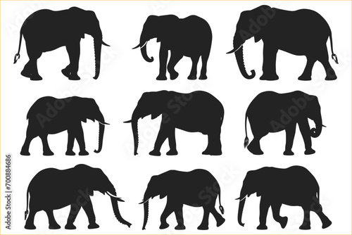 Elephant silhouette icon set  Elephant silhouette vector