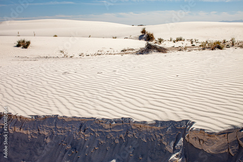 Beautiful landscape at White Sands National Park with rock edge and desert flora