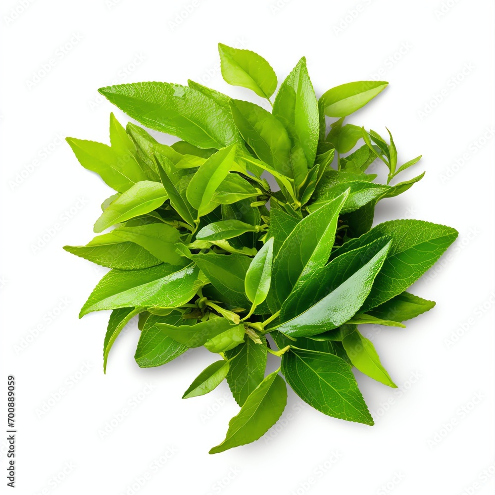 Tea leaf, png, top view, Transparent background