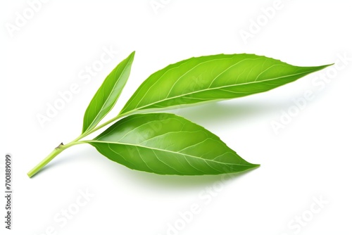 Tea leaf with isolated white background, in the style of photo realistic