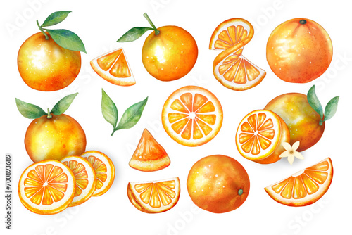 Set of watercolor style orange fruit on white background vector, every piece can separate each one