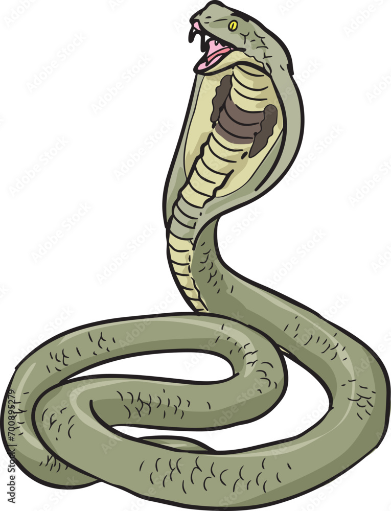 Fototapeta premium King Cobra Snake Wild Animal Vector Illustration