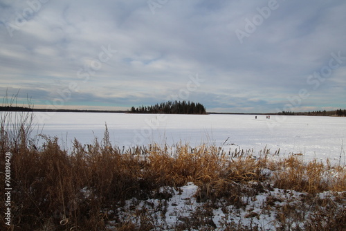 Snowy Lake, Elk Island National Park, Alberta