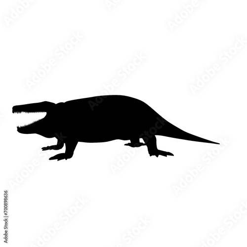 dinosaur Uberabasuchus silhouette