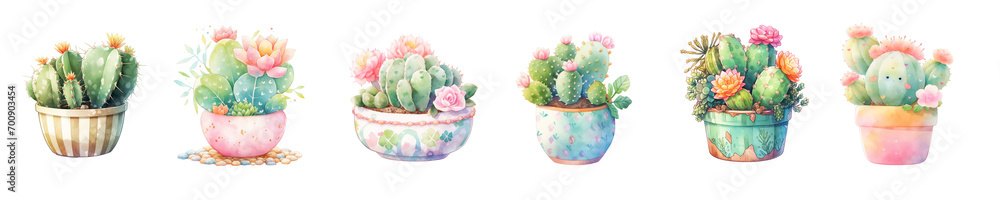 Watercolor cute cactus on white background