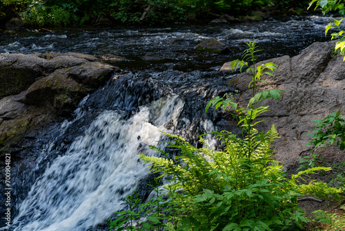 A variety of summer forest landscapes with rivers.