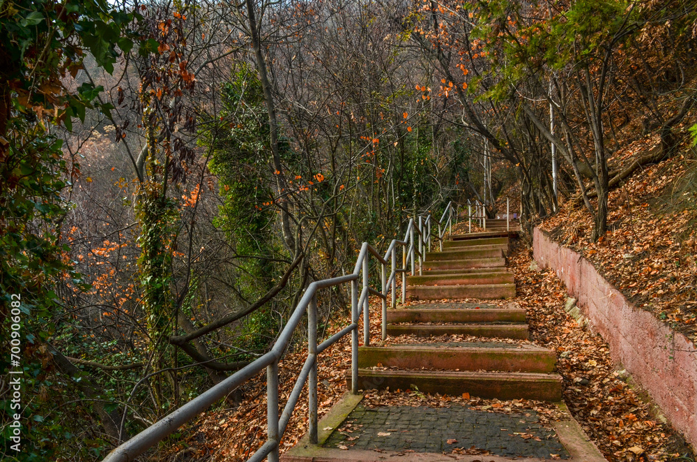 Fototapeta premium stairway in Mtatsminda Park (Tbilisi, Georgia) 