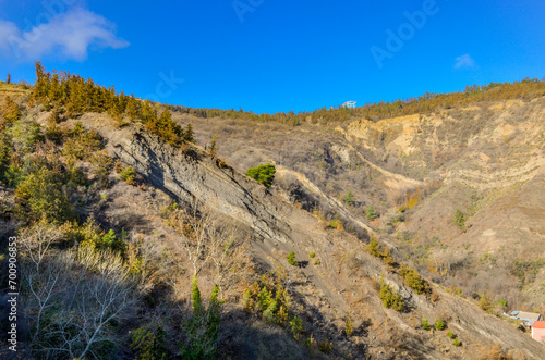 autumn forest on Mtatsminda mountain scenic view from Narikala trail (Tbilisi, Georgia)