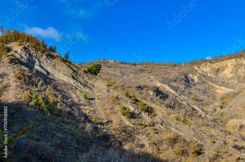 cliffs and pine trees on Mtatsminda mountain scenic view from Narikala trail (Tbilisi, Georgia)