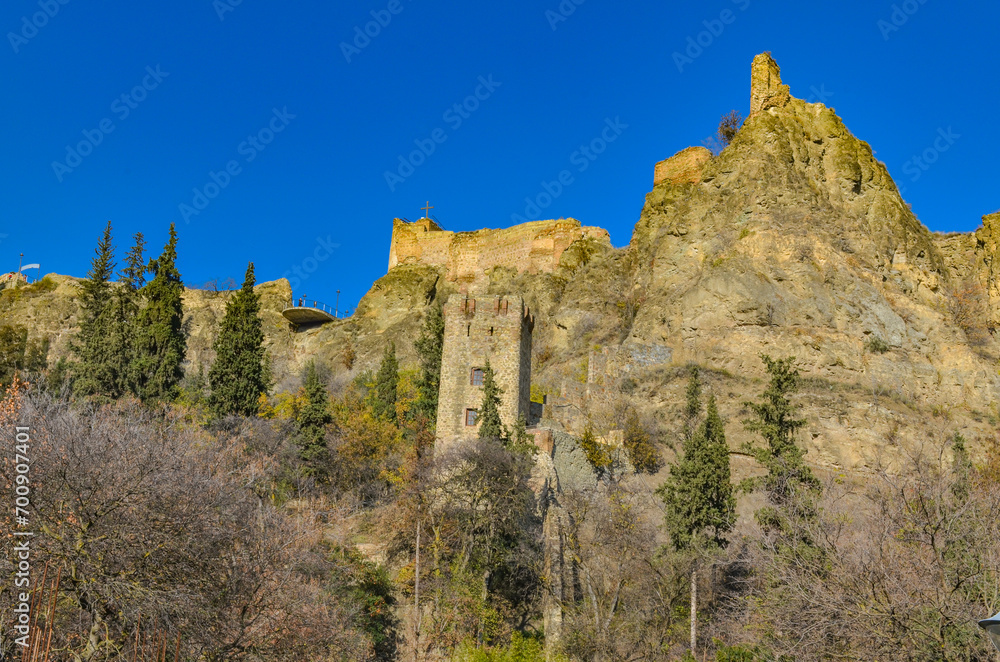 Narikala fortress scenic view from Botanical Garden (Tbilisi, Georgia) Narikala fortress scenic view from Botanical Garden (Tbilisi, Georgia)