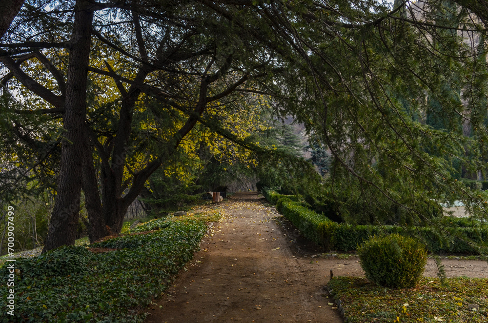 walkway in parterre of the National Botanical Garden (Tbilisi, Georgia) walkway in parterre of the National Botanical Garden (Tbilisi, Georgia)