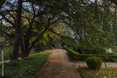 walkway in parterre of the National Botanical Garden  (Tbilisi, Georgia)