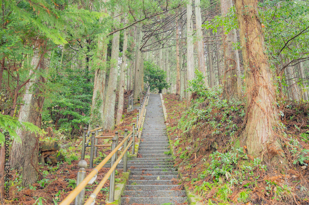 Obraz premium 山形 神社境内へと続く階段