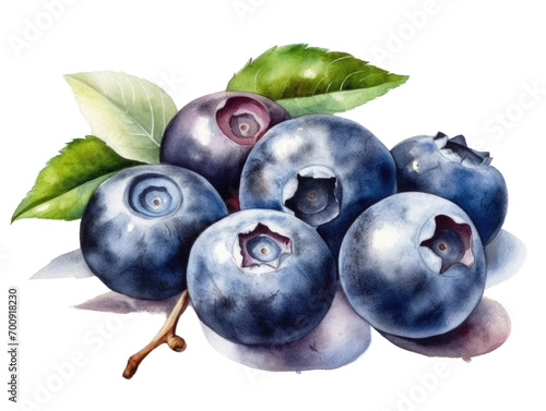 A watercolor painting of a cluster of blueberries on a branch with green leaves, detailed and vibrant against a white background