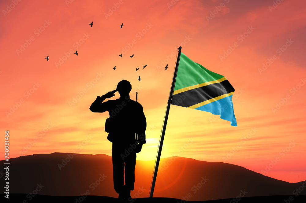 Silhouette of a soldier with the Tanzania flag stands against the background of a sunset or sunrise. Concept of national holidays. Commemoration Day.