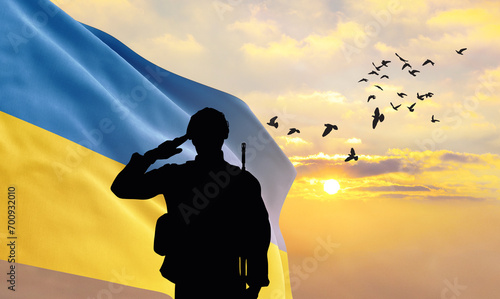 Silhouette of a soldier with the Ukraine flag stands against the background of a sunset or sunrise. Concept of national holidays. Commemoration Day.