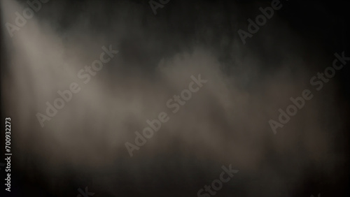 Dusty Black Old Masters printed backdrop photo