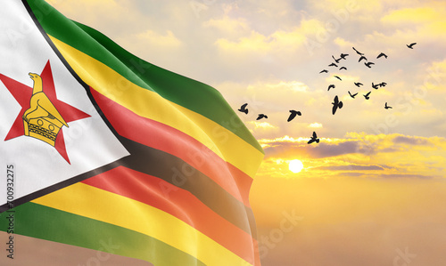 Waving flag of Zimbabwe against the background of a sunset or sunrise. Zimbabwe flag for Independence Day. The symbol of the state on wavy fabric. photo