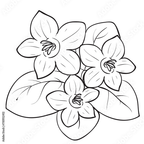 violet  flower  sketch  coloring  isolated object on a white background  vector illustration 