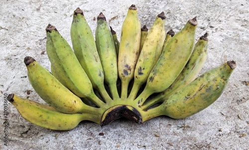 Small green Thai Namwa banana
