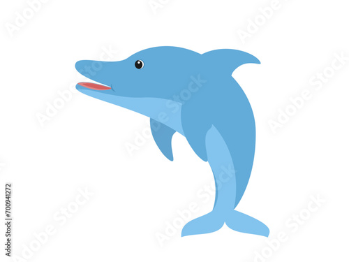 Dolphin on a white background.