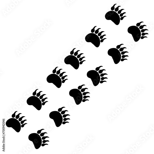 Bear footprints with sharp hooves. Bear tracks on white background. Danger sign of carnivorous animals.