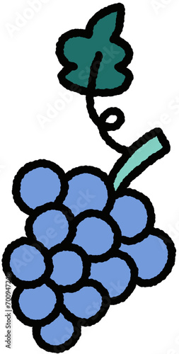 grapes doodle photo