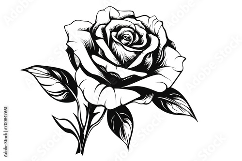 Fototapeta Naklejka Na Ścianę i Meble -  Beauty rose outline art tattoo design element isolated on PNG Background. Generative Ai.