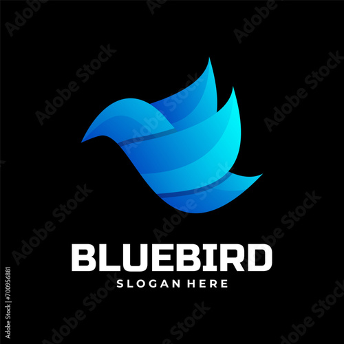 Colorful bird logo with modern gradient